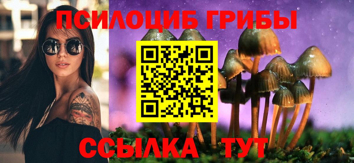 Миасс  Псилоцибиновые грибы GOLDEN TEACHER  Псилоцибиновые грибы GOLDEN TEACHER  Вход с VPN 